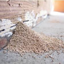 Bulletproof Pest N Termite Image